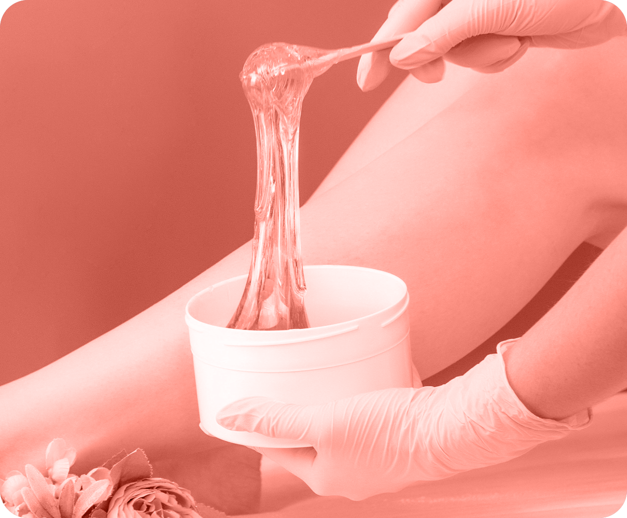 Honey, Chocolate and Tea Tree Products